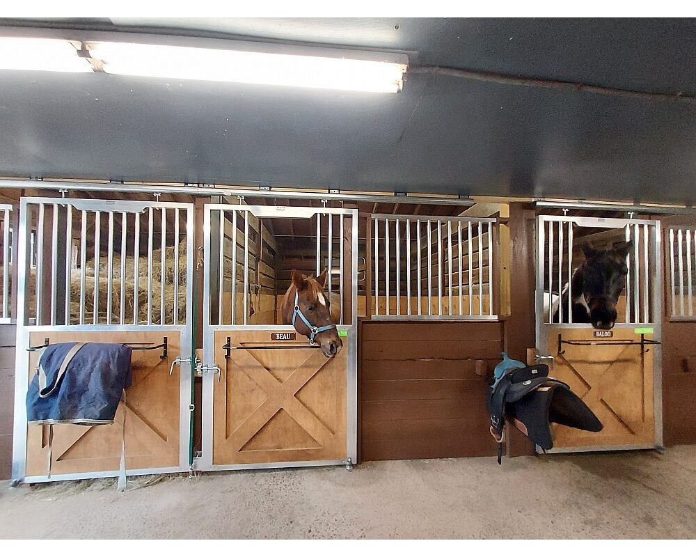 Seven Lakes Stables featuring Armour horse stalls after renovation.